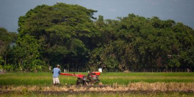 farmer working in rice plantation using tiller tractor. paddy farmer prepares the land planting rice. farmland with agricultural crops in rural areas Java Indonesia SSUCv3H4sIAAAAAAAACmxVS2/jOAz+K4HO9Y5kya8ci73sYHdQYI/NHGhLSTS1LUOS0ymC/vclZXumSRcFUosiP5IfH7qyFoLt2P7KbN/PIXqI1o1szx+YN6M2Pn0abaPzFvp0aiF25xEGw/bs26Ng7w8sRIhzMIGAOm8Q5GIG8C8msr18YIPtvAvRdS8TOmF7gSJHjkxvBjPGkLQm+zMC26sH1mEkbjjGSdweczyitw6iOWE8i781g2f0DOiOfcNQvGEY1Nzi8d+XN4xwu3ycba/teApf/oZRU4jhl+Y/NnSm72E0DoN8//7A4GTG7o2chPMco/EpB/TF0EhIhioXq407Y7okTdfZ0bmIll/cxfizAU1qGkkZQrRE2jMTXBCAKvE353Tf2tPCz9lFRypPxk09ZUFxhg4mTJZwzOSCjUktrIHkDd1AD8PbKlHQVoLXVVapUmZKg8lAKMhMXed1WxfABZDNfakwMpnTxX11EqpU9FOw7+9YA4+XkCr+zHJZ1TnXbca7UmfKdG0GvNHZUXBtoGqqBtDqgb28IoVDKtqENCeHpZBIBl6evDFjkuSiKkkyLoUkES+4/CWiNvwgi95NtluFuZSJDTdH7ZxfFevkwYwX691IKS1y1aSwsOkvJpkLXiqZ6tFvrC+oTZMiwk6DxbQSiSdsmDE1HytLzmsS/TVqZG5TFDxPUm87szta0+vEWClFUWzy1YVK2cAJRXP/O3NVJ9fInIdVF40VyY7gh8WLapLxV7gsbguxkepeF5hcLiYUwgLCeQL2HwjdUF5vUS7WvN7kePIQUh4Vb+oqdZKbx+jfAk7DDRZyi7sDe2nxIYSosQerLXraL6kH6kTnq8M+3ERVvWnhvN5wkZpnXVRL9onLM/iLCWtX1TKpEpX28lv3FwRo/XZTCYy0wyW3ahWpi6Z+oU9wiT2+SbZwqkolreDs2nx1lfiavJlg26Q4HkoVqti6atUUCIdjBLO2OO9XdnHYwrQHUThhCyQnn5cpTg5uoYVOJml1RcQEj7CMton5GWlt07HgtJnvJxkBlp5joqD7yY26+CiWjMbbxTMV4roVFi+aBvE7XPseBqdpYNifP+xu93TGarhhp3ZP3qFK79wELe6u/REzMlSXEBBFr4L3baEjPH6PLtIWoQWjca9TYDIXoinTX503JdZie2HOFg0pmiubsRSQMr1+fl8KVePUy0Z9JiDdlbKRNb1bcztYXOwLyv9qVkWBz9V9Heguz7ErJLGVXFsa7c8oTOSo2/CCfUYZ575Hc0vlahUvDYc6q1oAXKLQZg0GmYHsuISuNTm0CLGkTW/E/aOEUZowpf+gXYuTsIk/Pj54FLn0x/R19+qQ6u37QpnDeKeztgz5Wd4cgTkcnR/SC4urAWNKfYAdPUE8o/Dr/nB4hN7uci7qw+GIUIfDBCOEXX44PHHcK3kl//gxndj7fwAAAP//AwBS+VoElAgAAA==